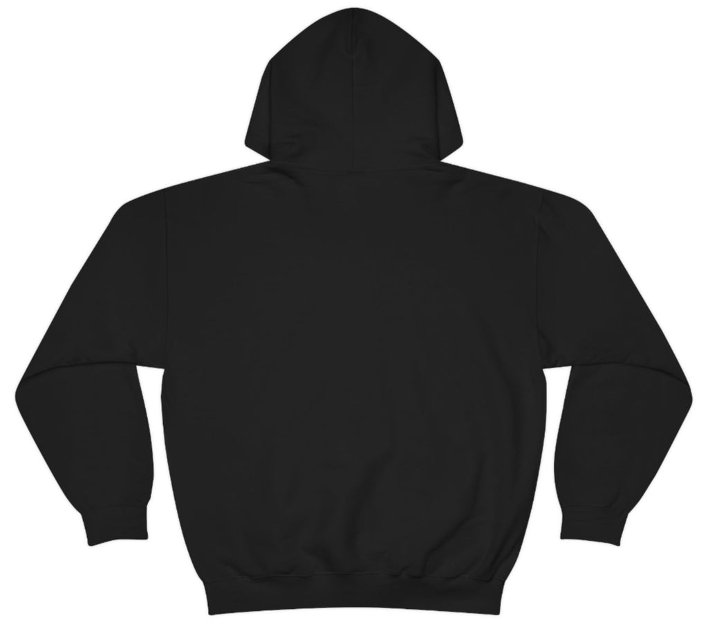 Picture of the Fitness Geeker graphic saying "This is a sign, to go to the Gym" Heavy Blend Hooded Sweatshirt (back) in black