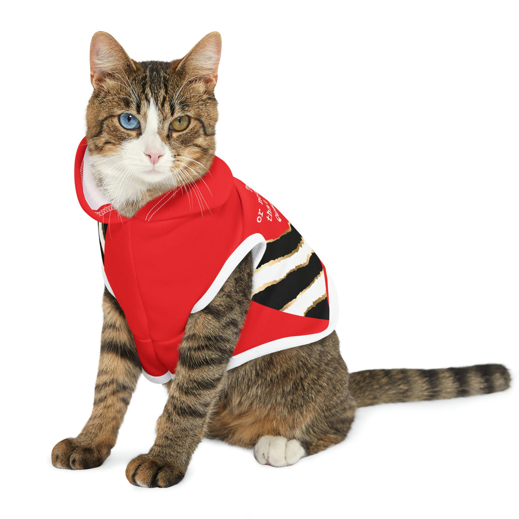 Picture of Fitness Geeker™ Pet Hoodie Red or Black Options - Dogs and Cats red on cat model