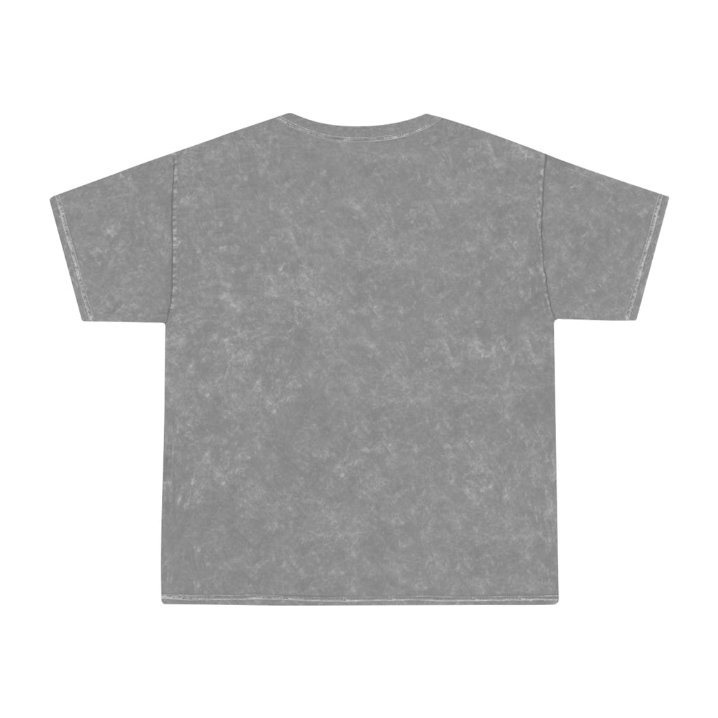 picture of Fitness Geeker Mineral Wash T-Shirt "Zen" grey back