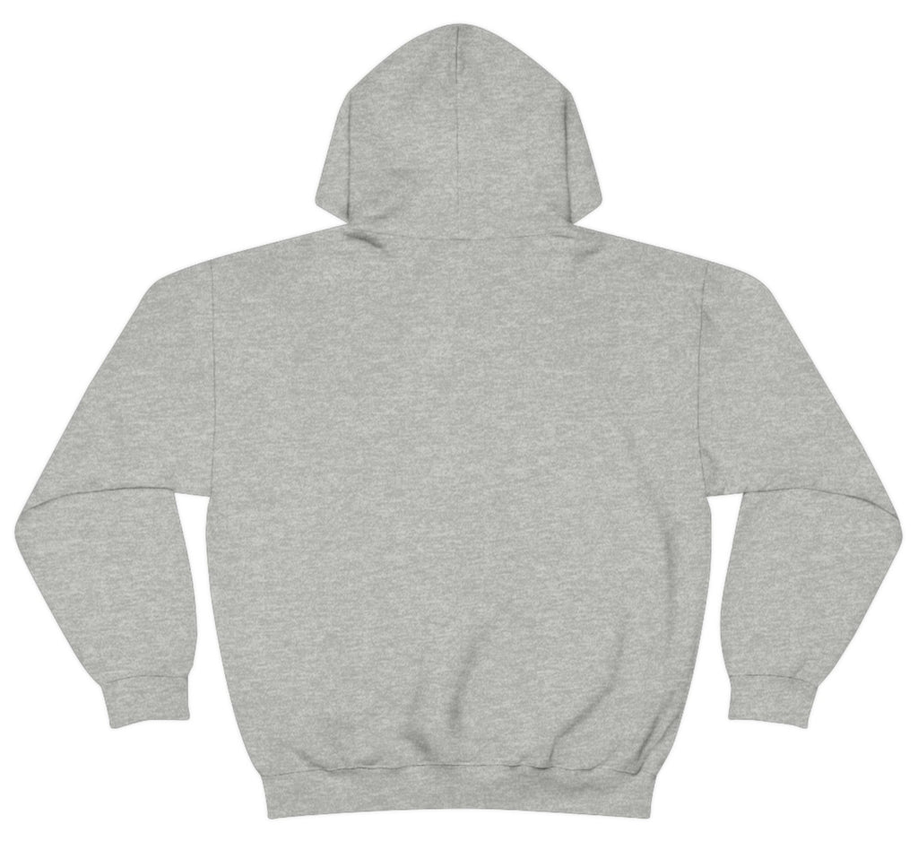 Picture of the Fitness Geeker graphic saying "This is a sign, to go to the Gym" Heavy Blend Hooded Sweatshirt (back) in grey